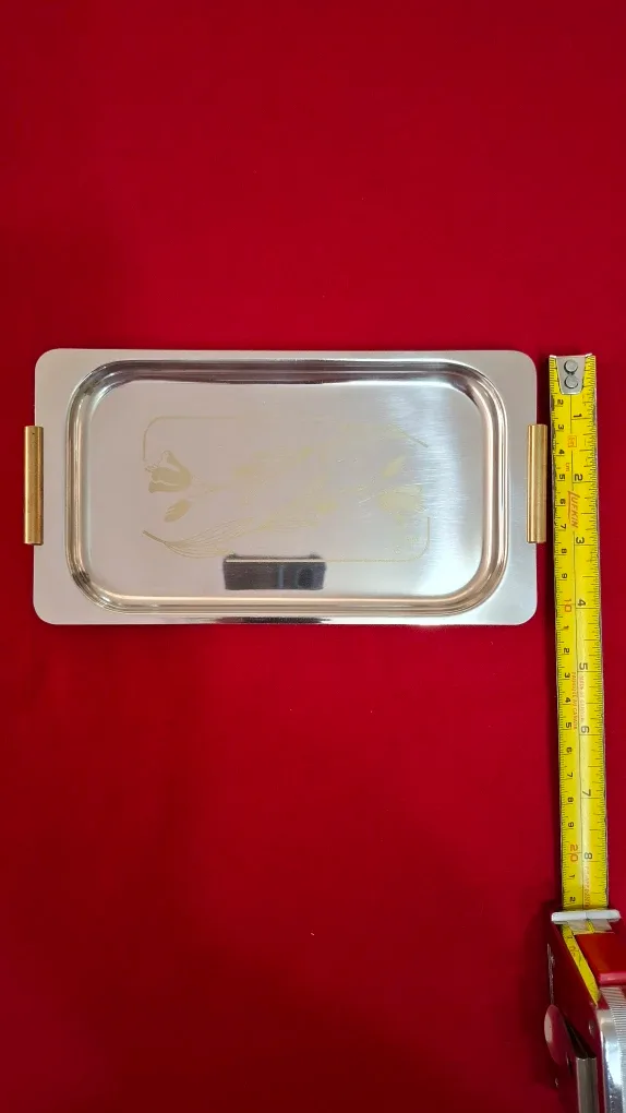 Stainless Steel Serving Tray 4"x8" image indicator(6)