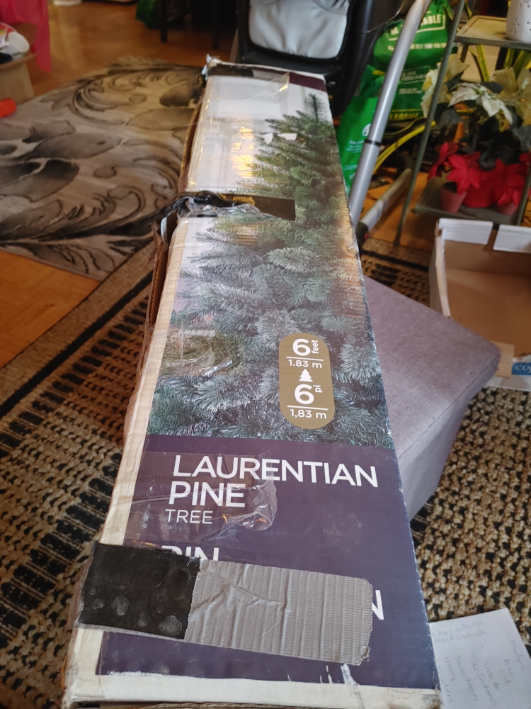 6ft Laurentian Pine Tree - photo 5