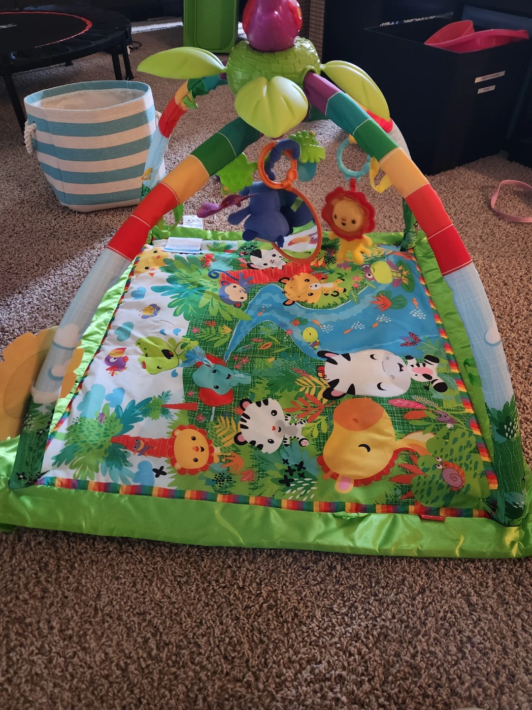 Fisher-Price Rainforest Melodies & Lights Deluxe Gym - photo 2