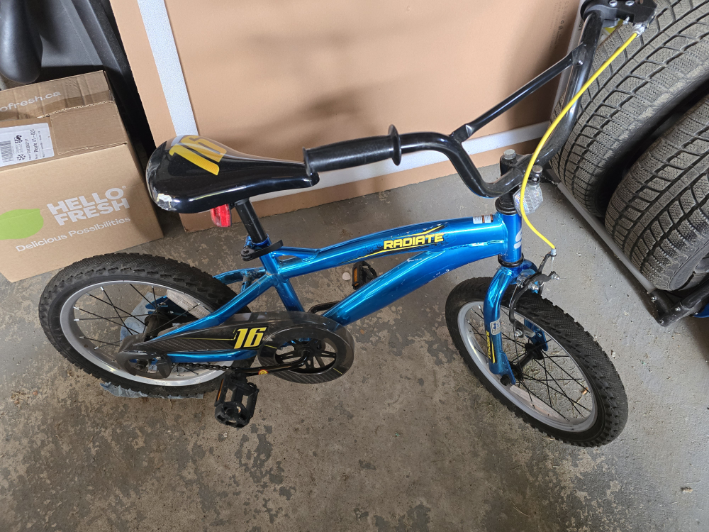 Radiate 16-inch Kids' Bike - Blue