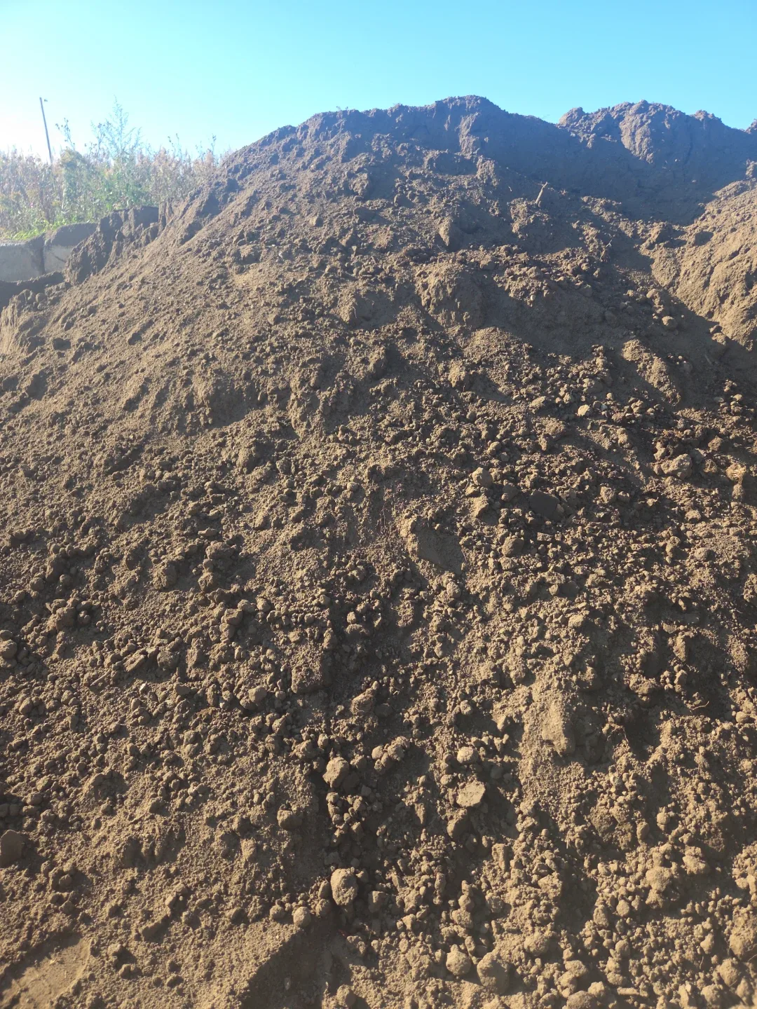 Cow Manure for delivery