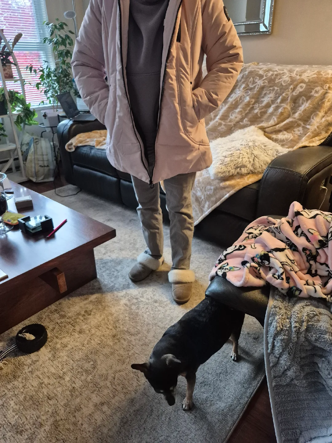 Women's image indicator(3)