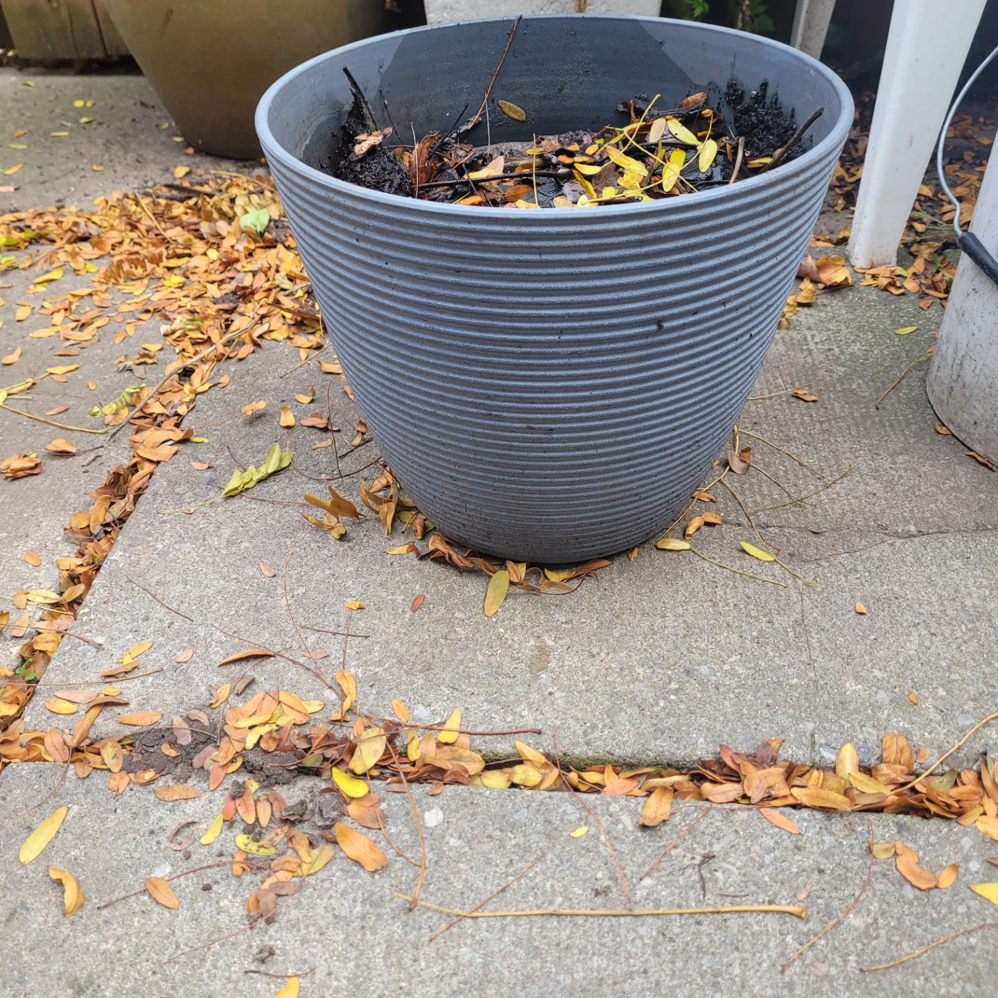 🏆Grey Plastic Garden Pot
