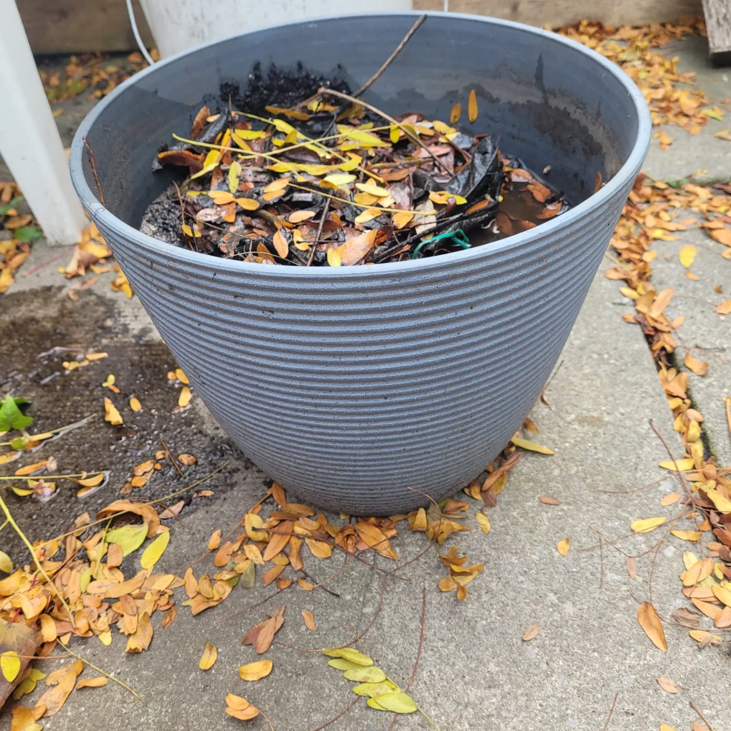 🥕Grey Plastic Garden Pot image indicator(2)