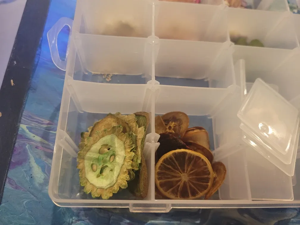 Assorted Dried Flowers and Leaves