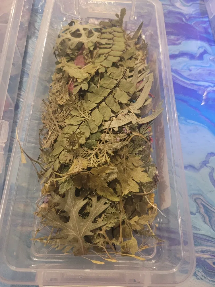 Assorted Dried Flowers and Leaves image indicator(3)