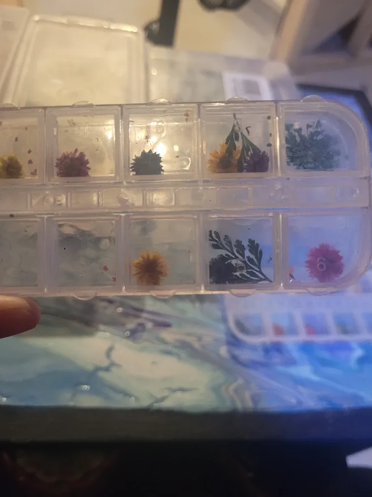 Assorted Dried Flowers and Leaves image indicator(5)