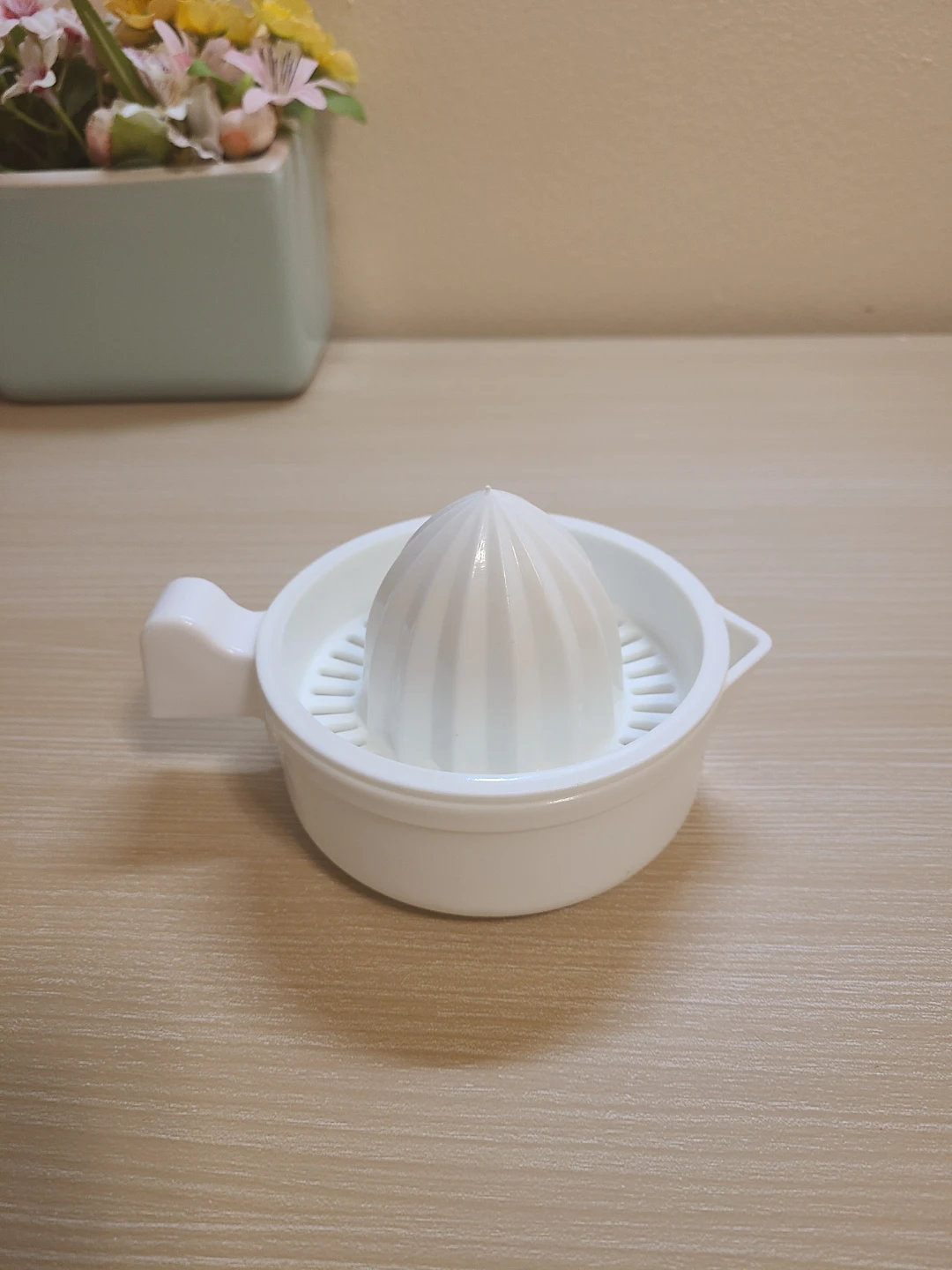 Small White Citrus Juicer
