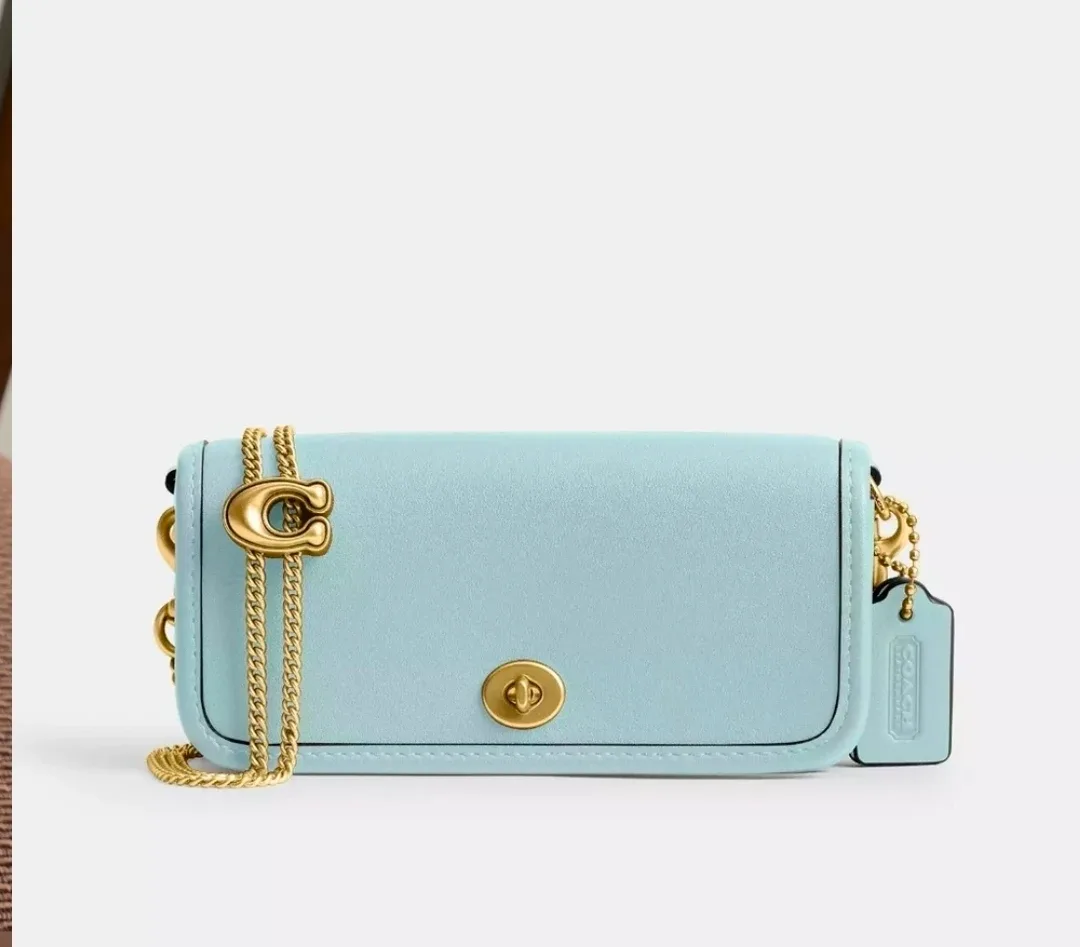 Coach Light Blue Dinky 14 image indicator(2)