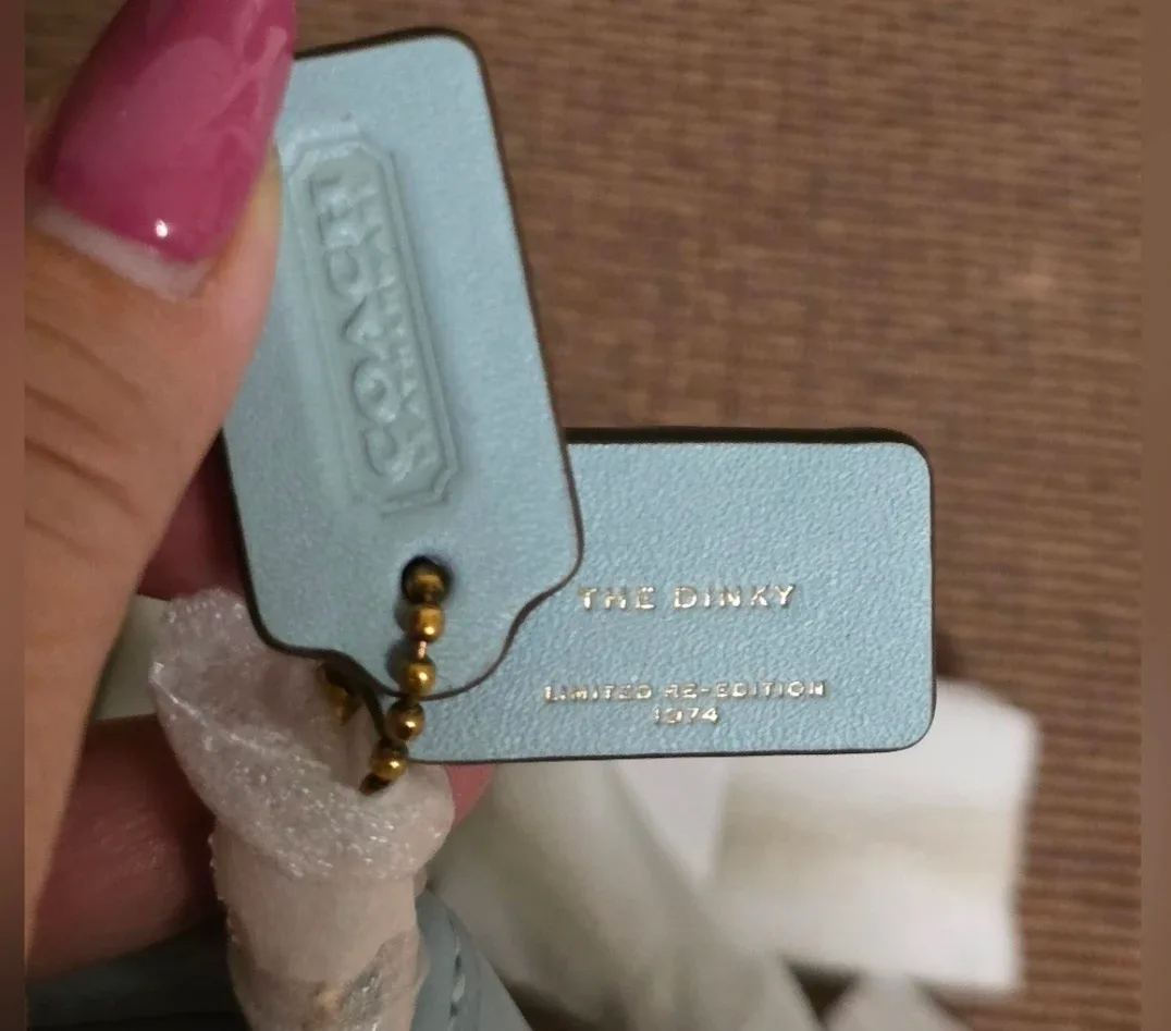 Coach Light Blue Dinky 14 image indicator(4)