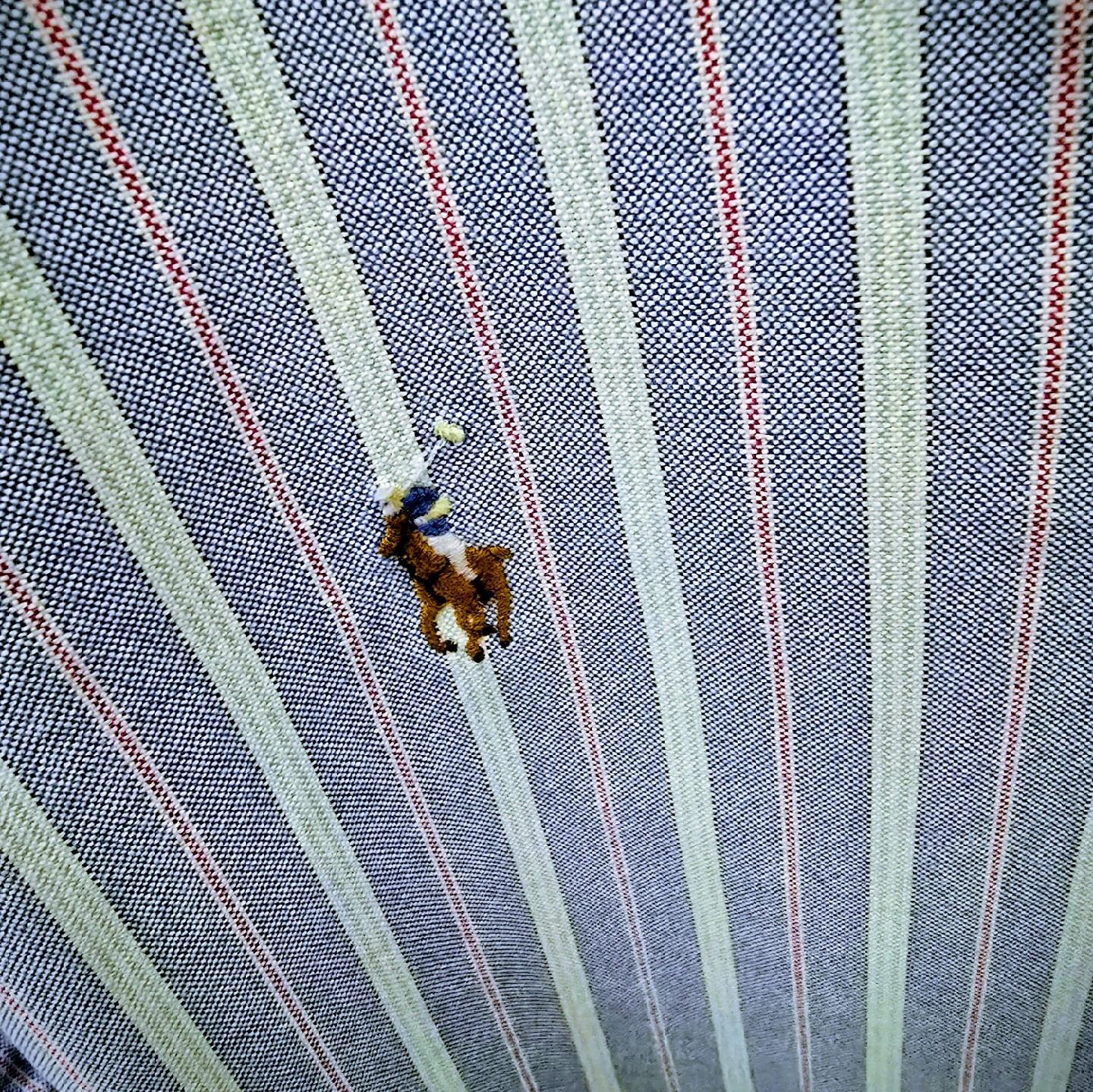 Ralph Lauren Striped Button-Down Shirt - L/G - photo 4