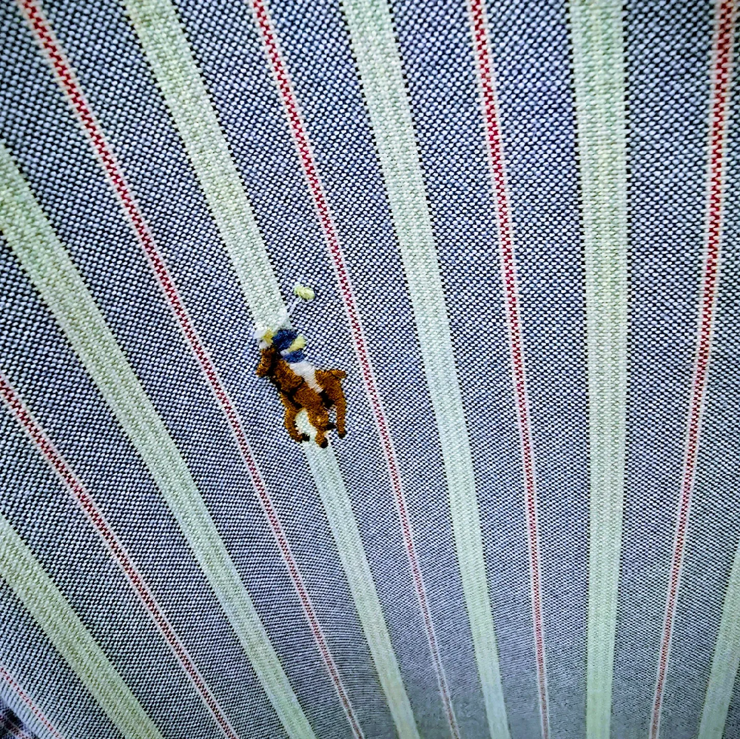 Ralph Lauren Striped Button-Down Shirt - L/G image indicator(4)