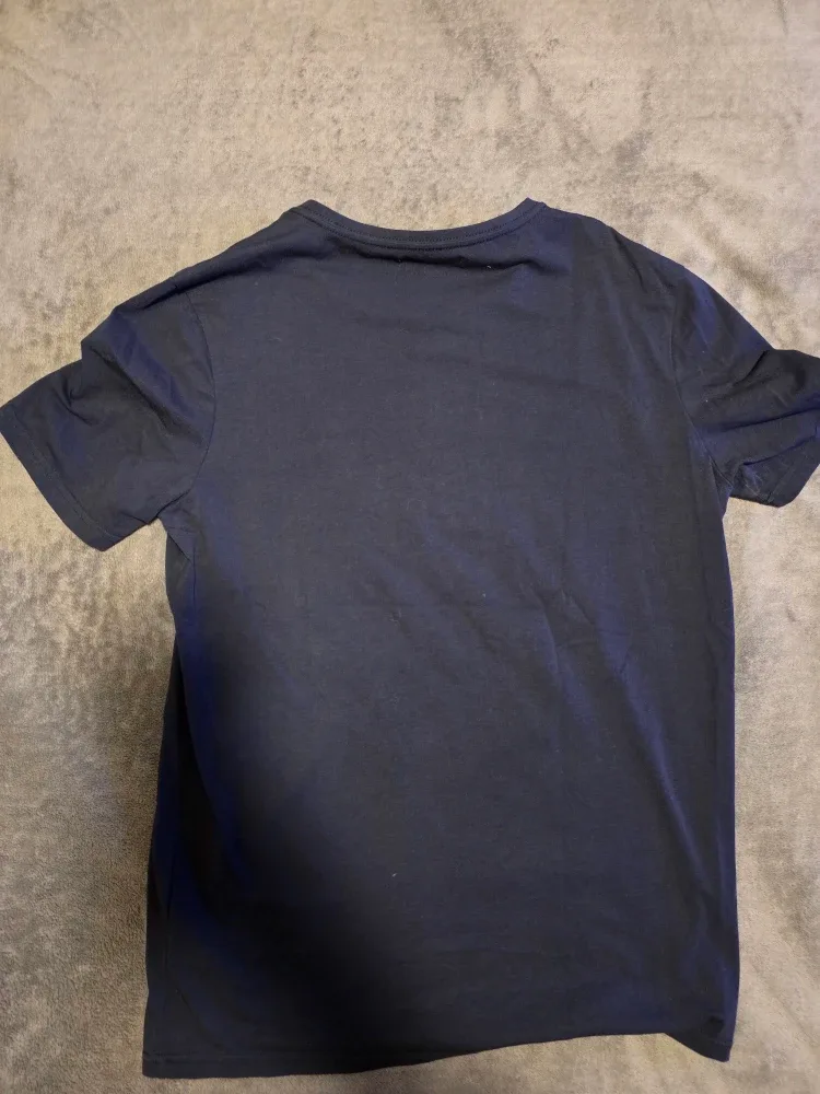 Gaudi Mona Lisa image indicator(2)