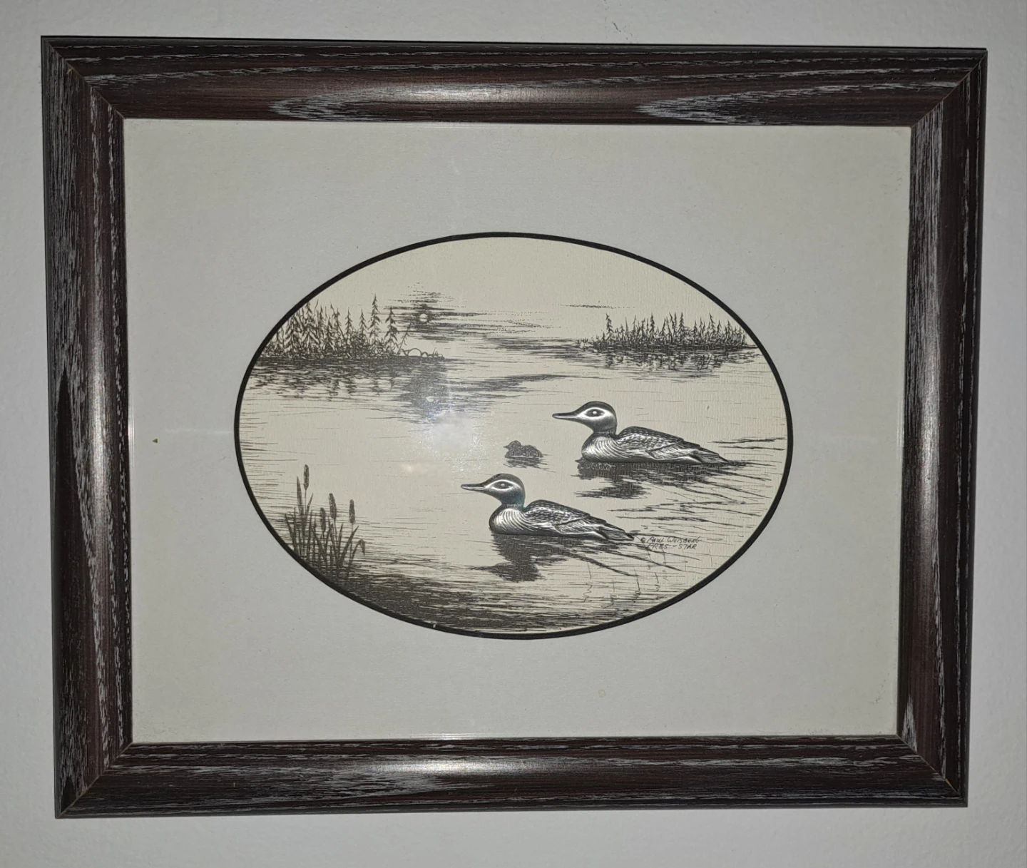 Framed Loon Print