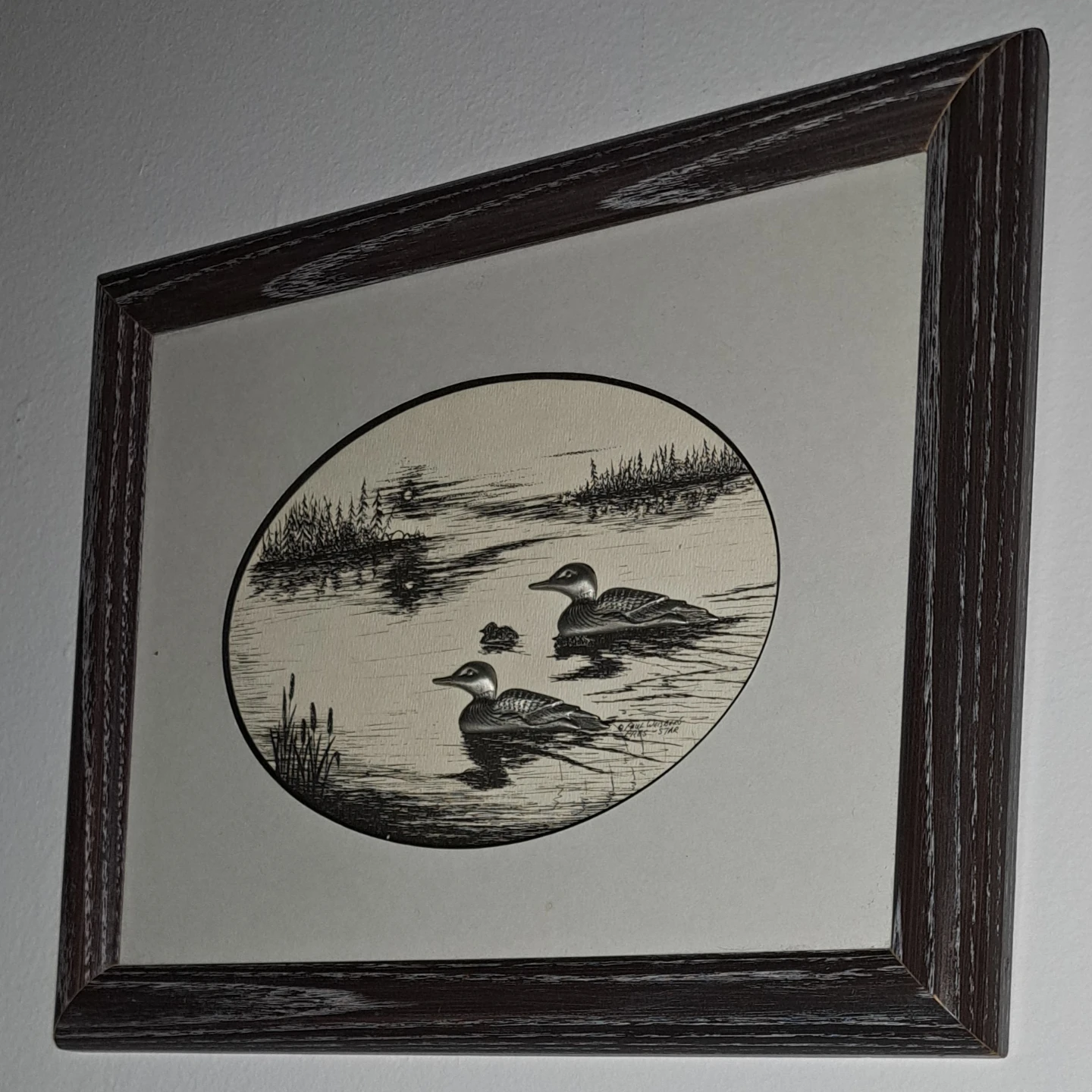 Framed Loon Print - photo 5