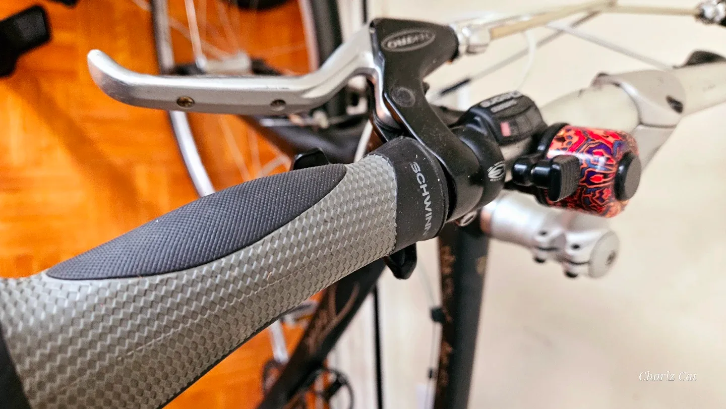 Trek WSD 19" Hybrid Bike image indicator(5)