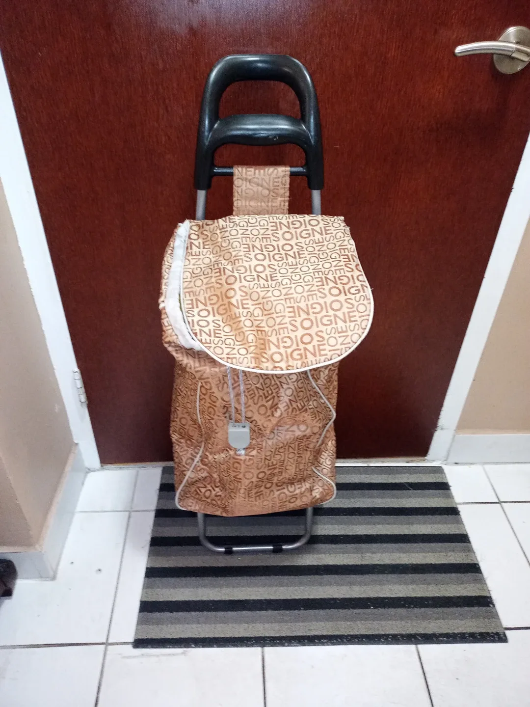 Small Shopping Cart thumbnail