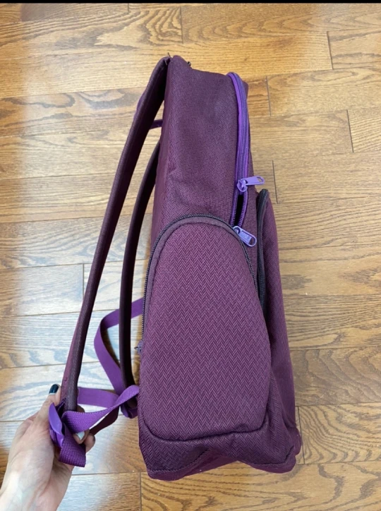 Dakine Purple Backpack