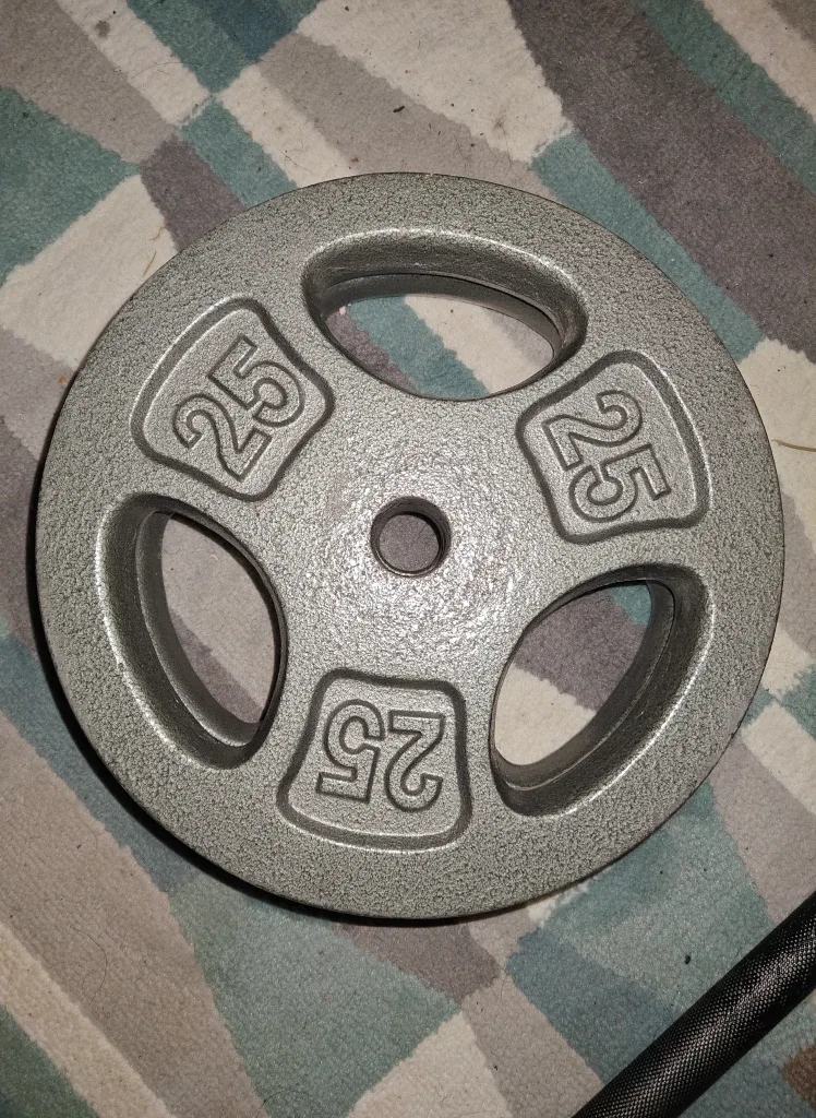 25 pound plates (pair)