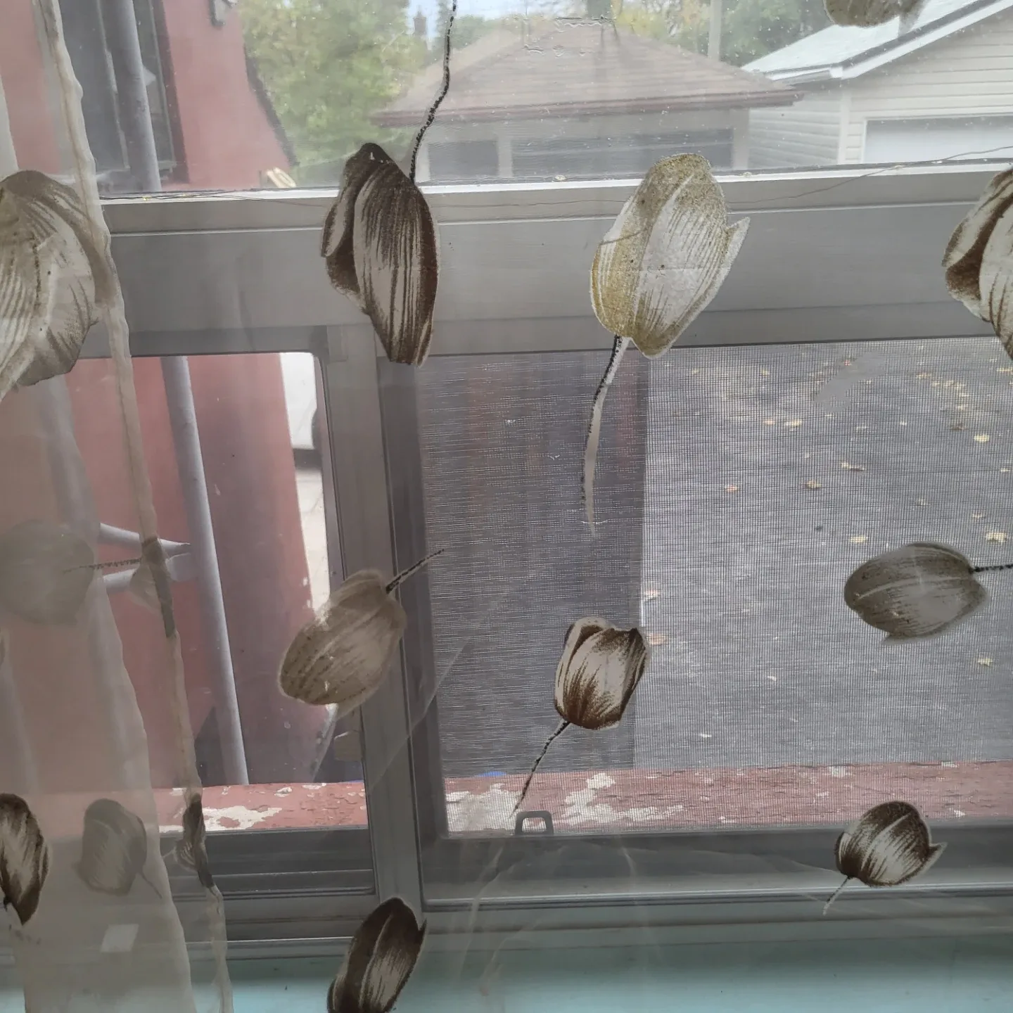 Floral Print Sheer Curtain Panel 80 x 40 panel image indicator(4)