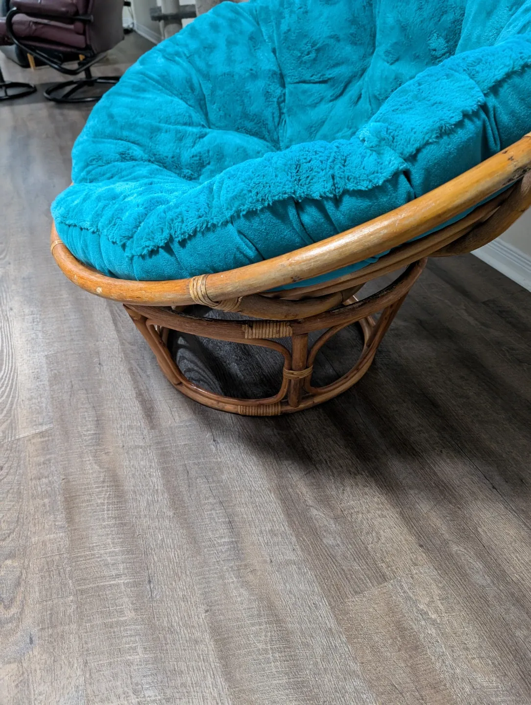 Papasan Chair with Turquoise Cushion image indicator(2)