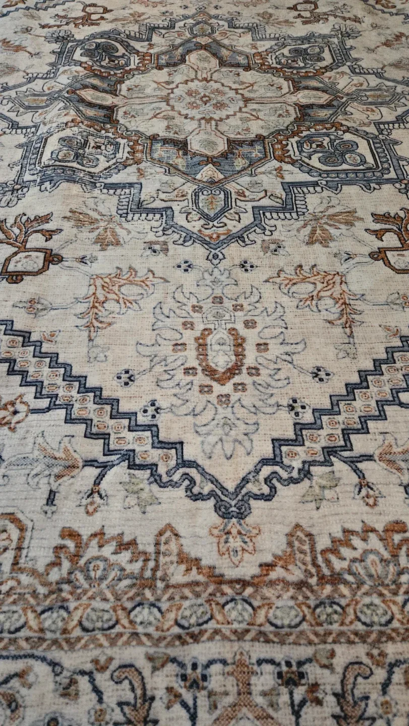 Patterned Area Rug image indicator(2)