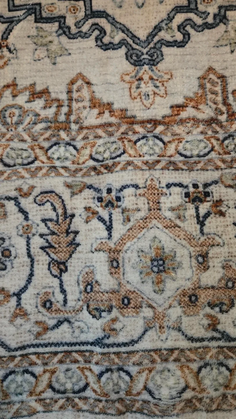 Patterned Area Rug image indicator(3)