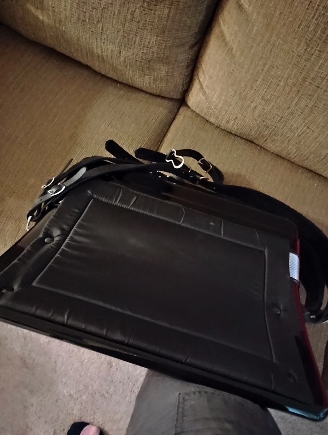 Mid-sized 🪗 Accordion - photo 4