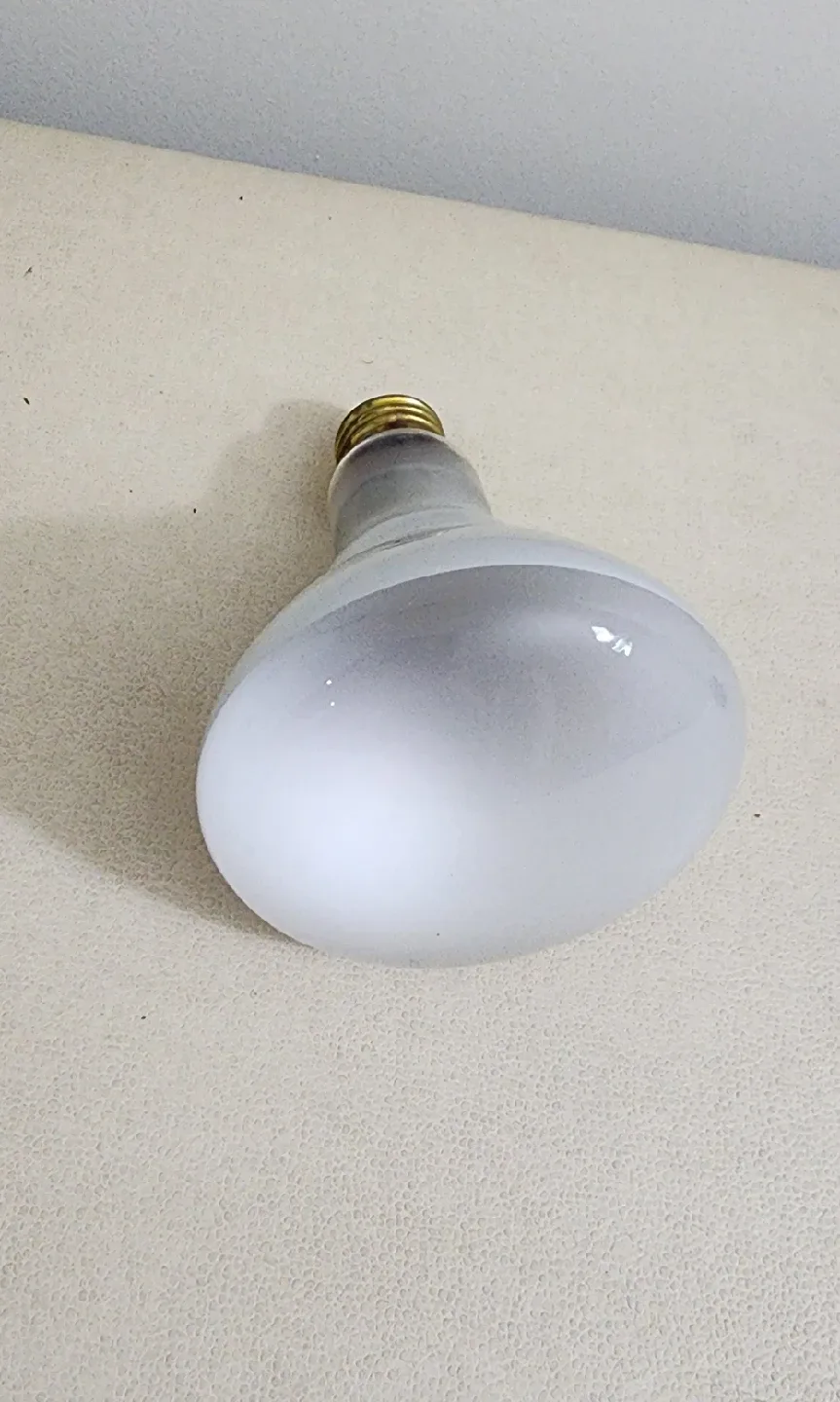 Lighting One BR-30 Flood Light Bulb 🥕 image indicator(2)