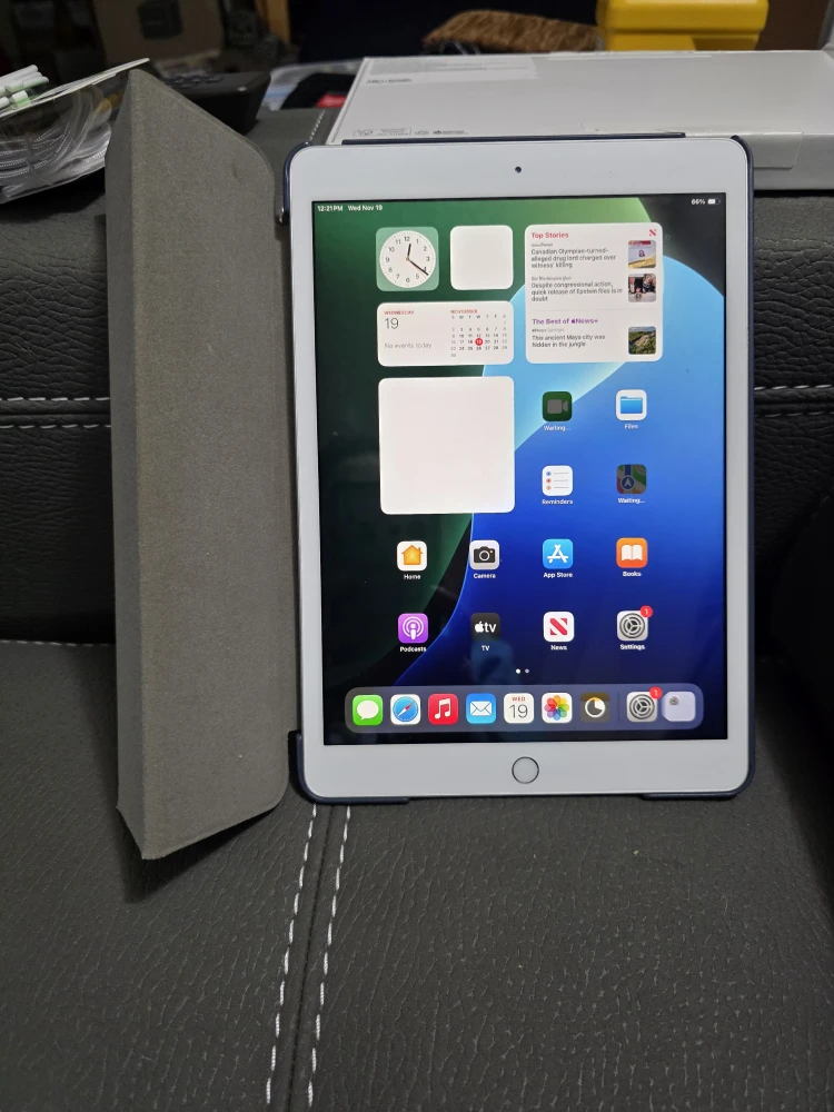 Apple iPad Mini