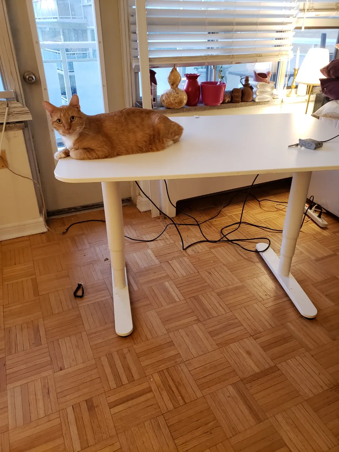 White Standing Desk image indicator(6)