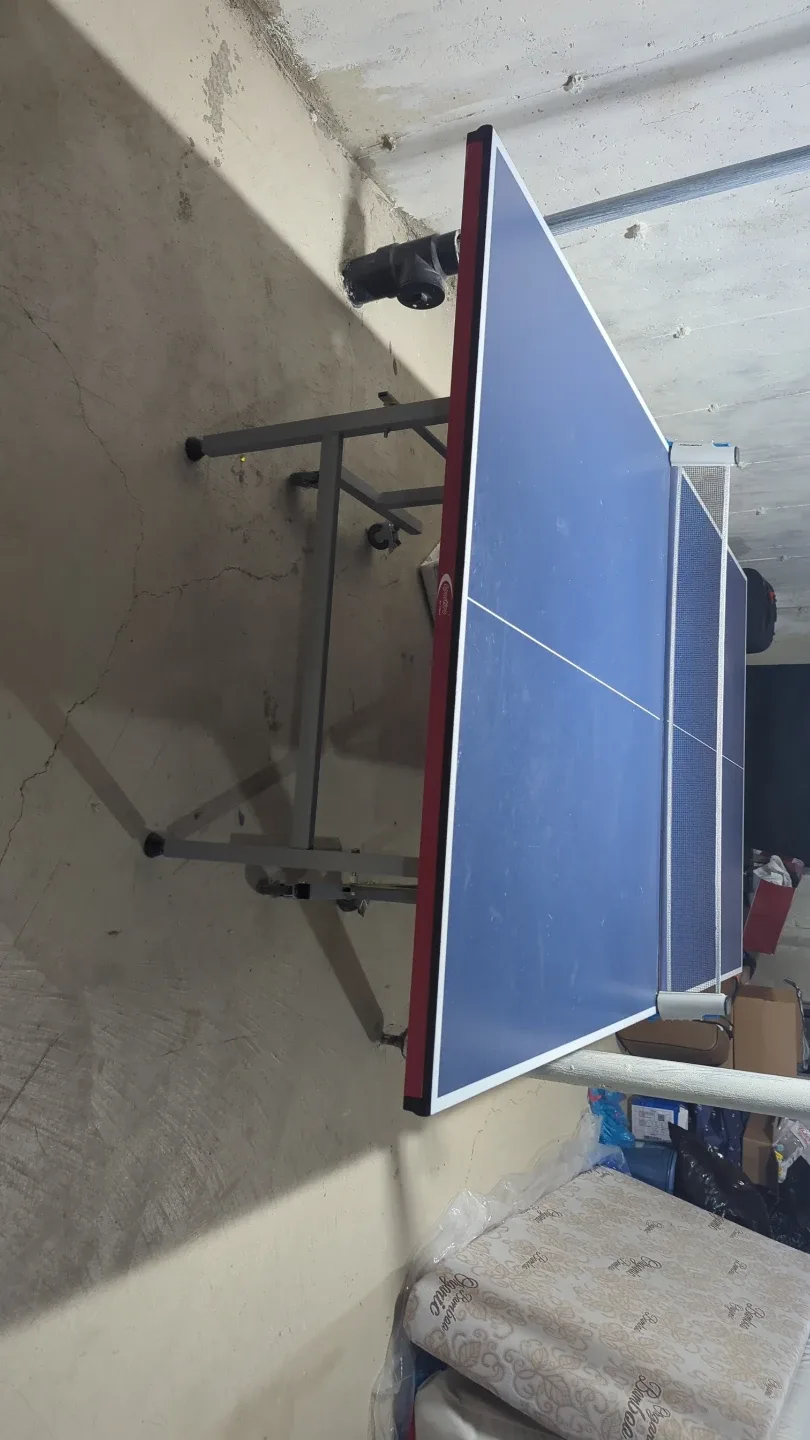 Ping Pong Table