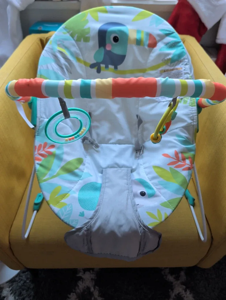 Bright Starts Bouncer Seat