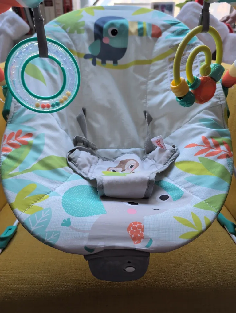 Bright Starts Bouncer Seat image indicator(2)