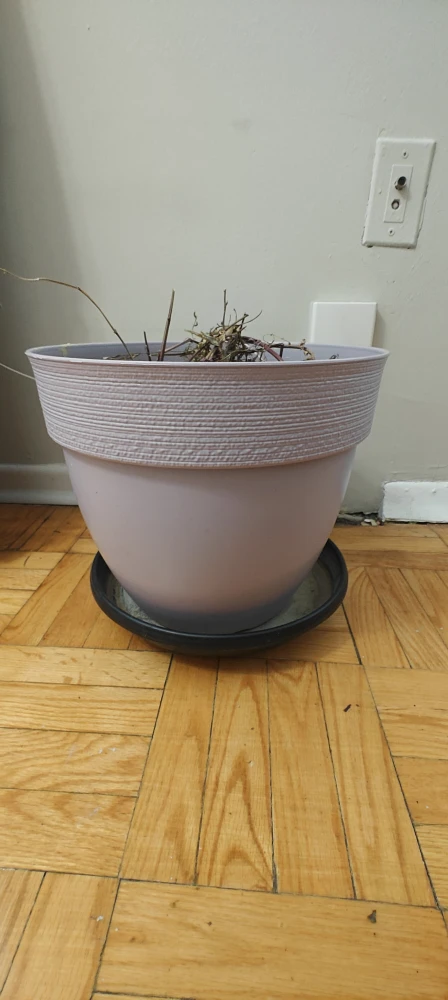Large Light Purple Plant Pot - photo 2