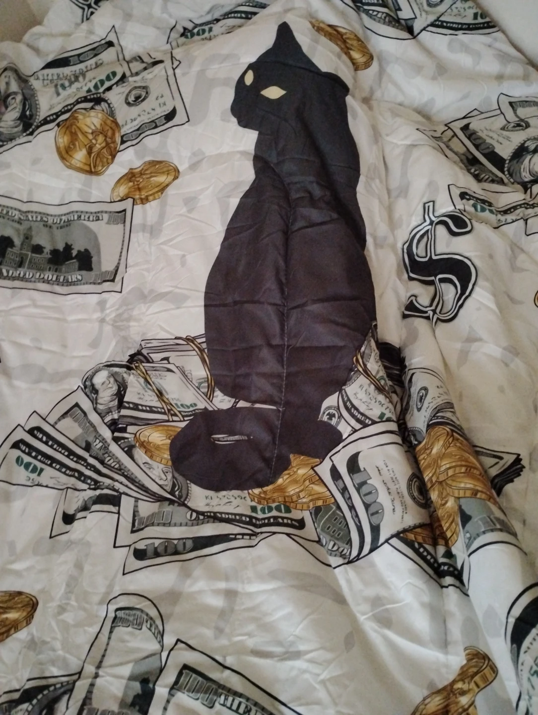 Money Print Polyester Blanket - photo 2