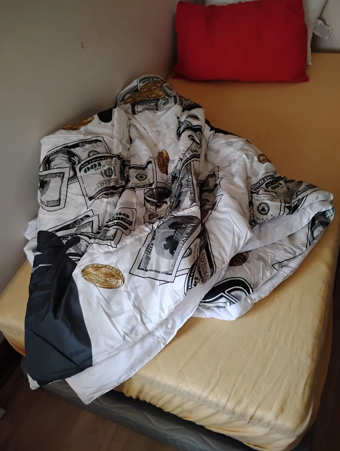 Money Print Polyester Blanket - photo 3