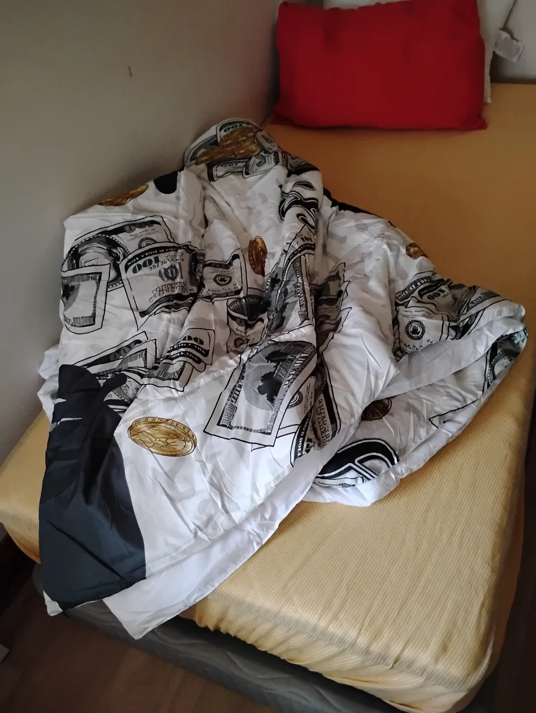 Money Print Polyester Blanket image indicator(3)