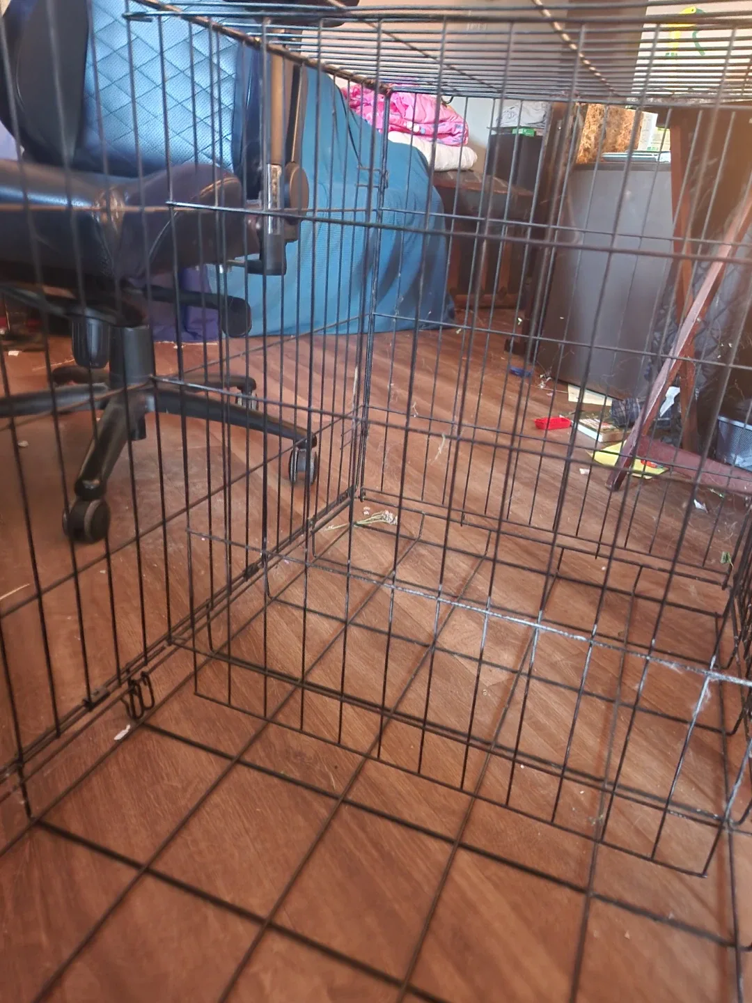 2 Door Dog Crate w/ Divider image indicator(4)