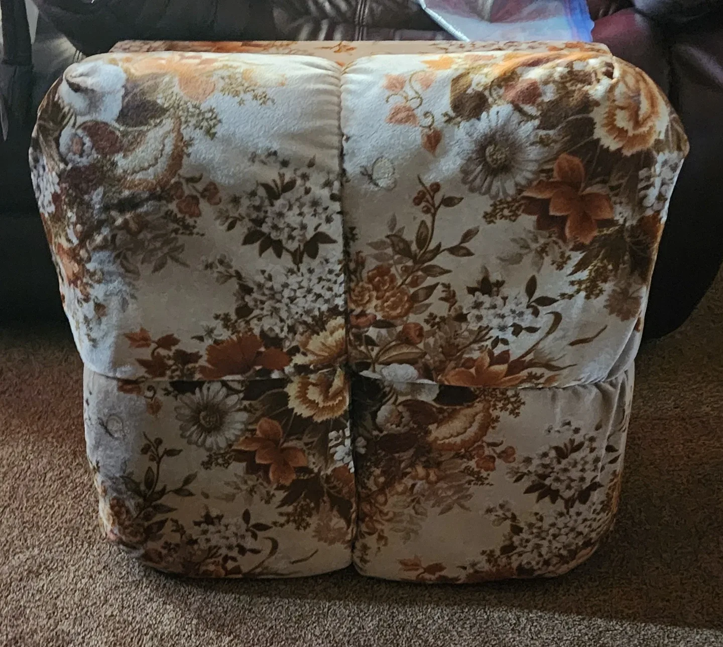 Floral Armchair and Ottoman Set image indicator(2)