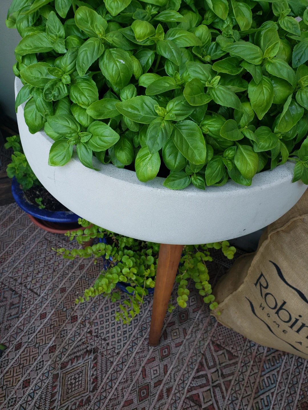 Concrete Planter Bowl with Wood Legs - photo 2