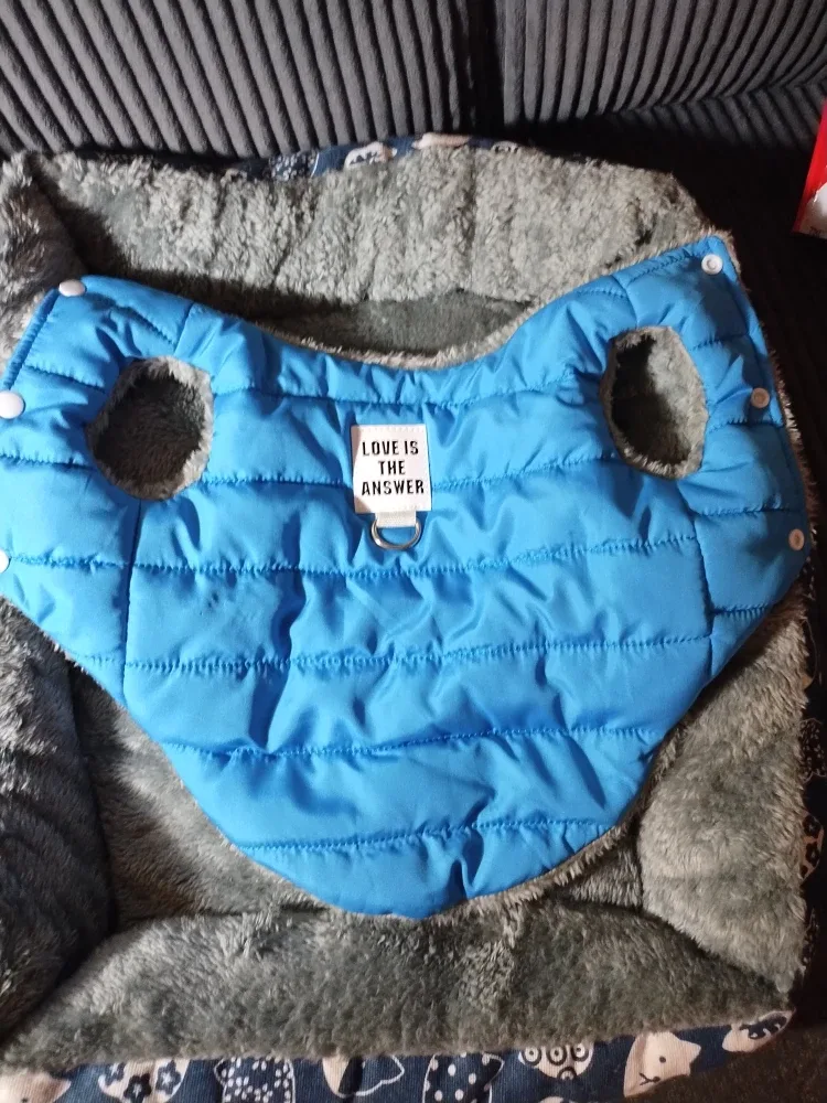 Various dog Treats and accessories image indicator(7)