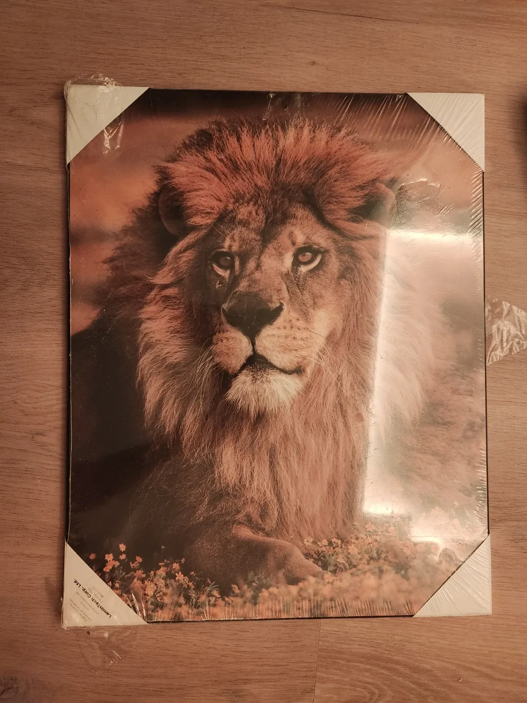 Lion Print by LaminTech Corp Ltd