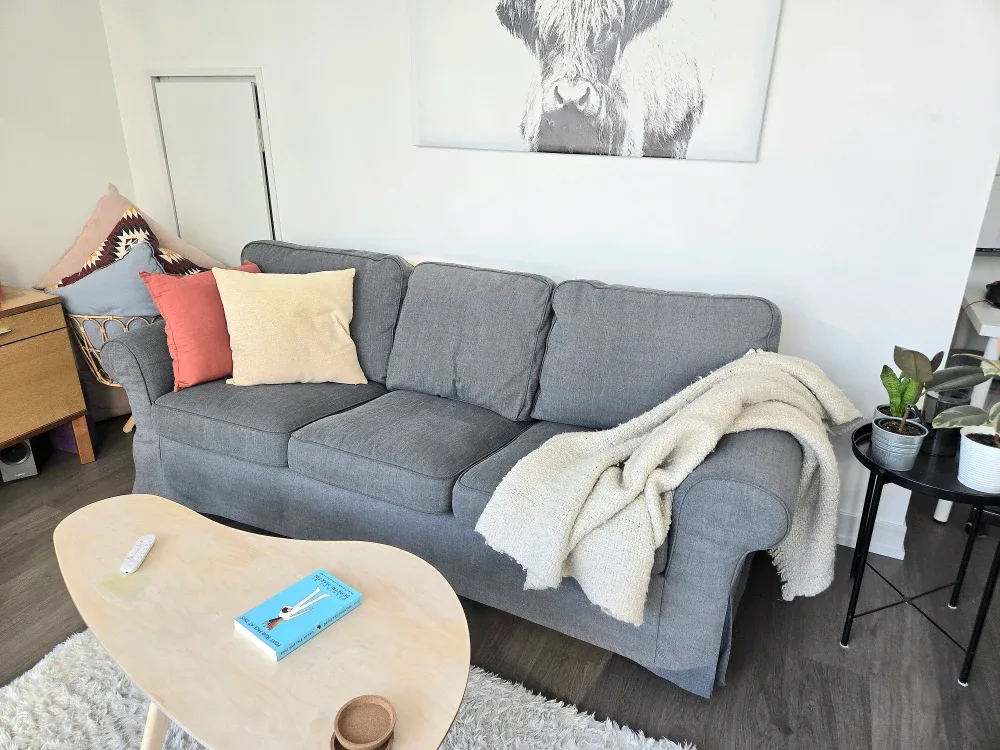 IKEA Ektorp Sofa - Grey