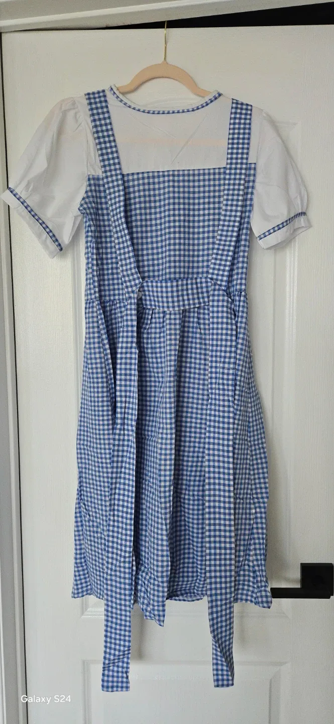 Dorothy Costume with Wig - Size M image indicator(2)