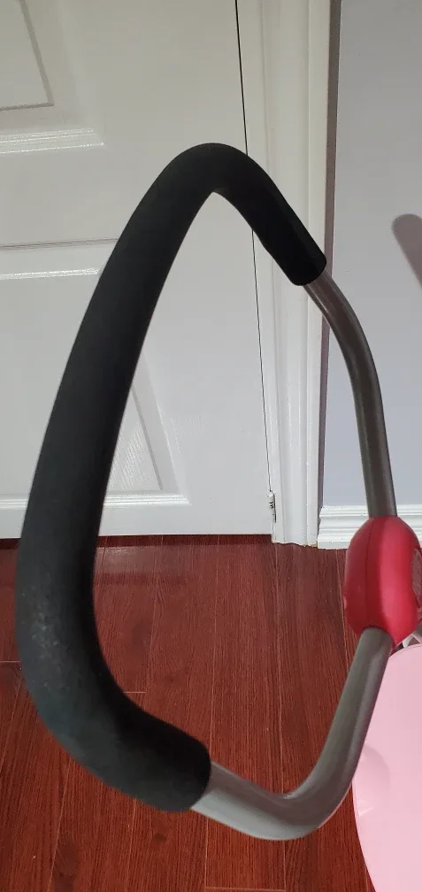 Radio Flyer Steer & Stroll Pink Trike image indicator(5)