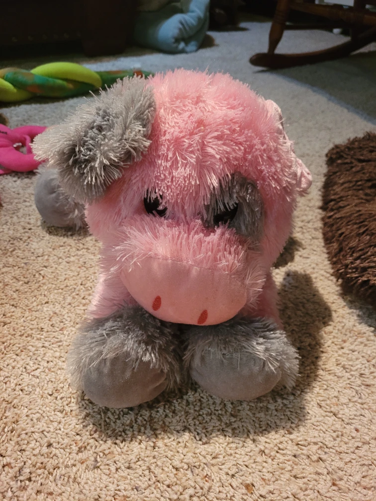 Assorted Plush Toys - Strawberry, Pig, Chick, Monkey, ect; - photo 5