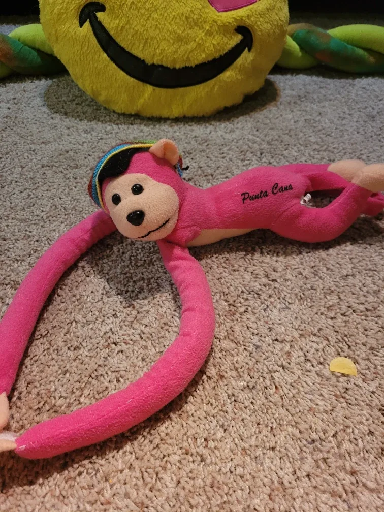 Assorted Plush Toys - Strawberry, Pig, Chick, Monkey, ect; image indicator(7)