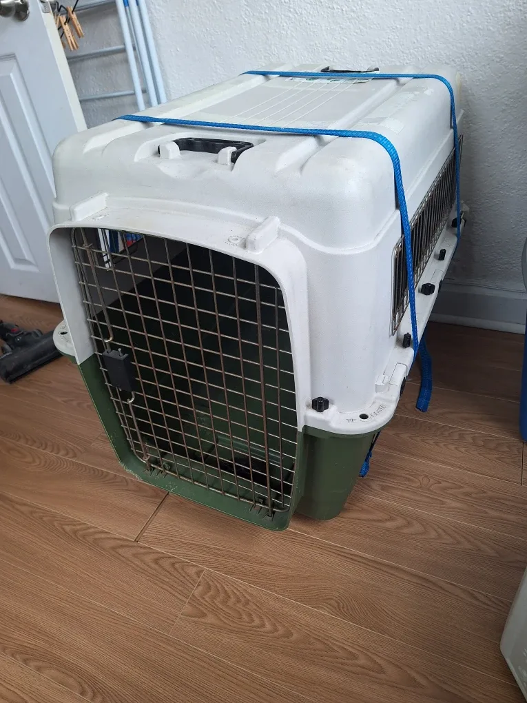 Pet Carrier Kennel - Large dog travel crate (50-70 pounds) image indicator(4)