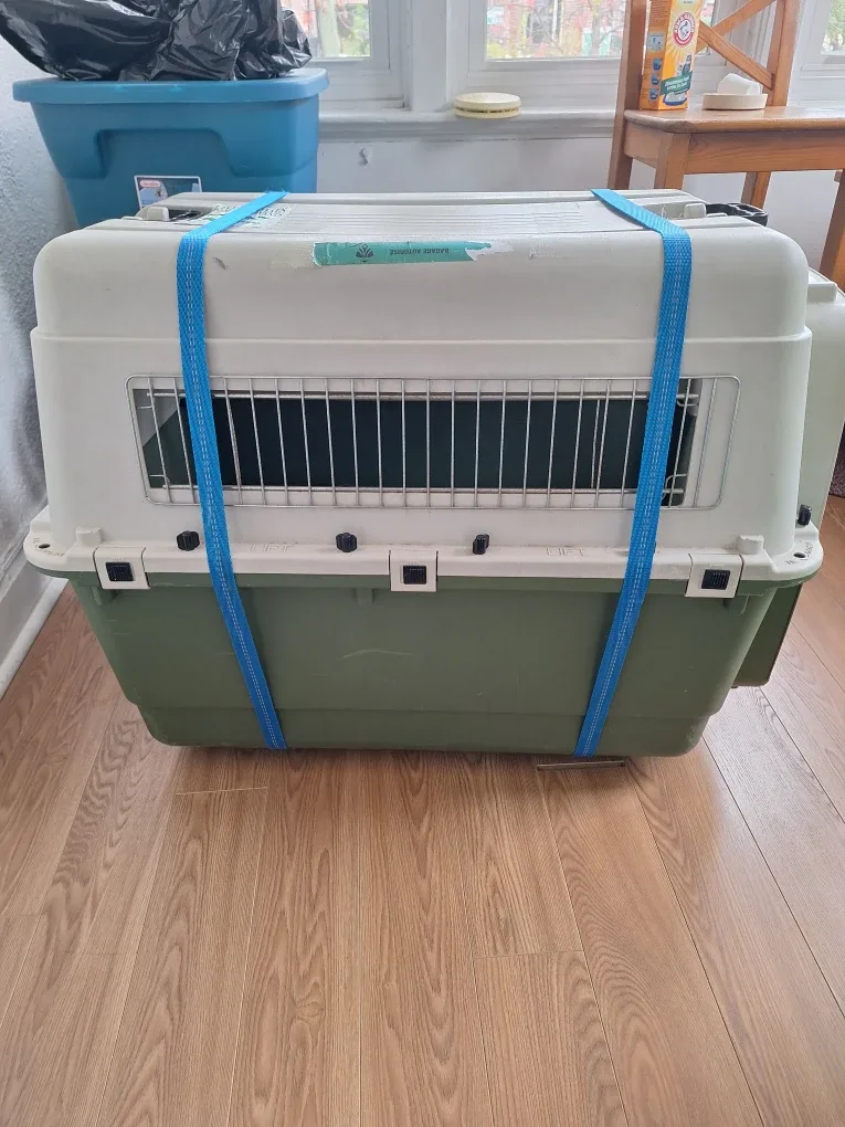 Pet Carrier Kennel - Large dog travel crate (50-70 pounds) image indicator(6)